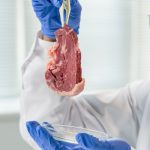 What Science Says About Zabiha Meat Quality